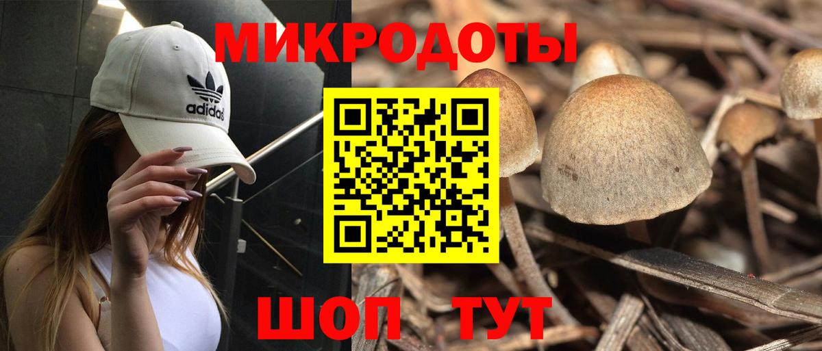 Псилоцибиновые грибы Magic Shrooms  купить наркотики цена  Советск  Вход с VPN 